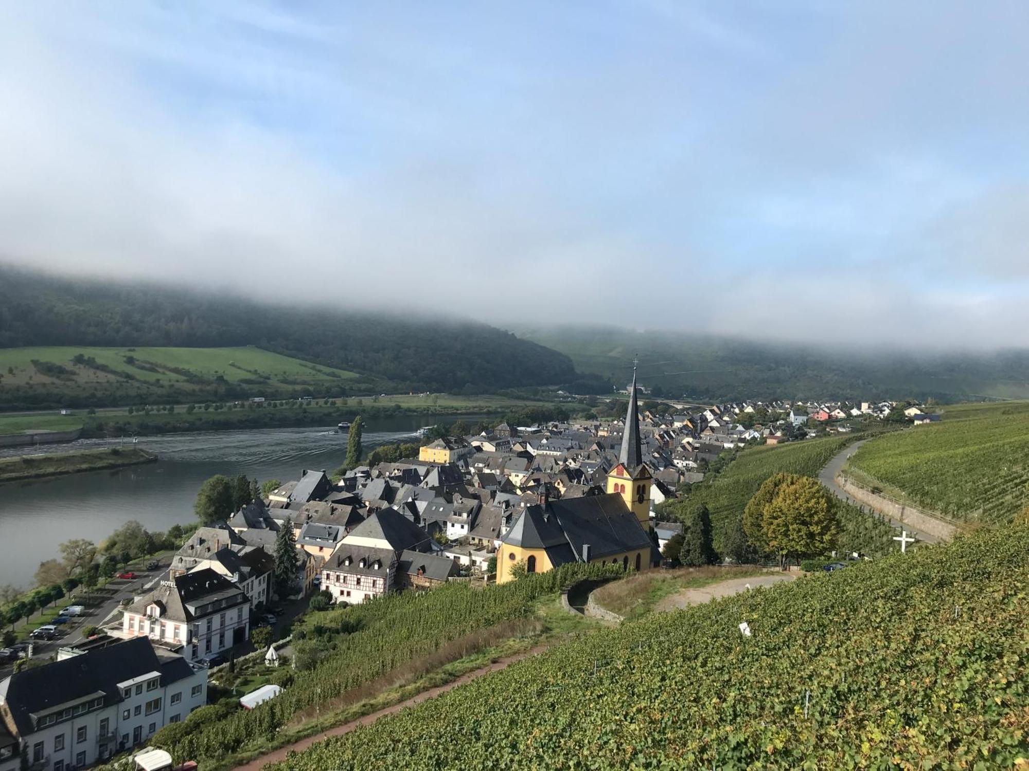 Ferienwohnungen Forneck Zeltingen-Rachtig Exterior foto